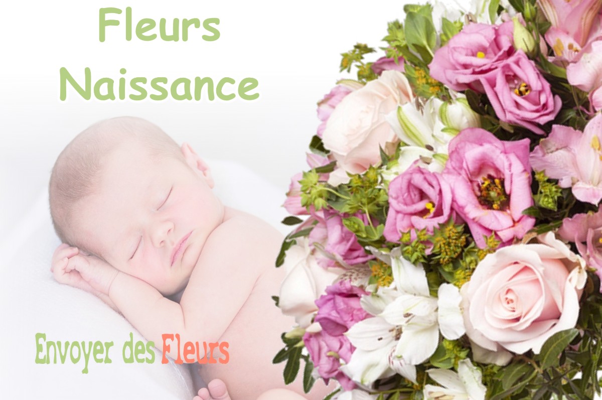 lIVRAISON FLEURS NAISSANCE à MOURNANS-CHARBONNY